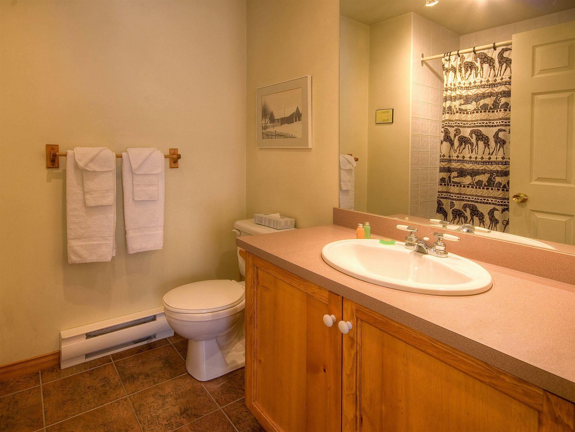 Les Haut Bois Condominiums - Tremblant Sunstar 蒙特朗布朗 外观 照片